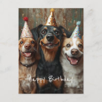 Drei Hunde zum Geburtstag