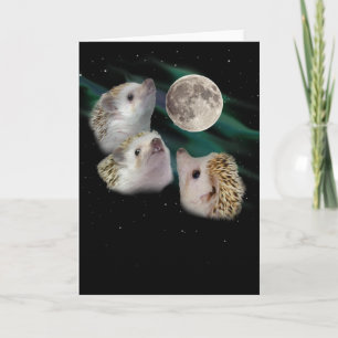 Drei-Igel-Mond-Grußkarte Karte
