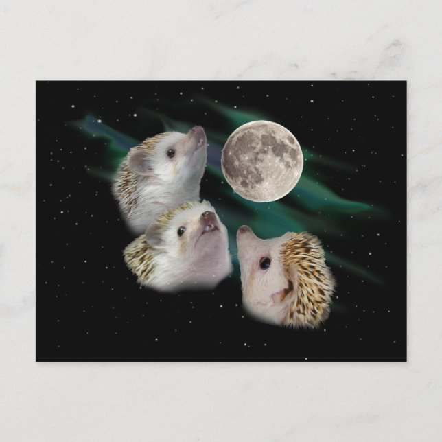 Drei Igel Moon Postkarte (Vorderseite)