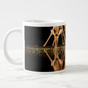 Drei Impalas trinken nachts zusammen Jumbo-Tasse
