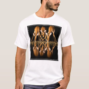 Drei Impalas trinken nachts zusammen T-Shirt