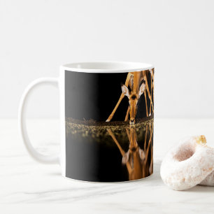 Drei Impalas trinken zusammen in der Nacht Kaffeetasse