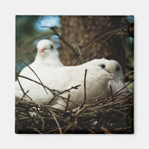 Drei in einem Baum Magnet