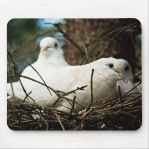 Drei in einem Baum Mousepad