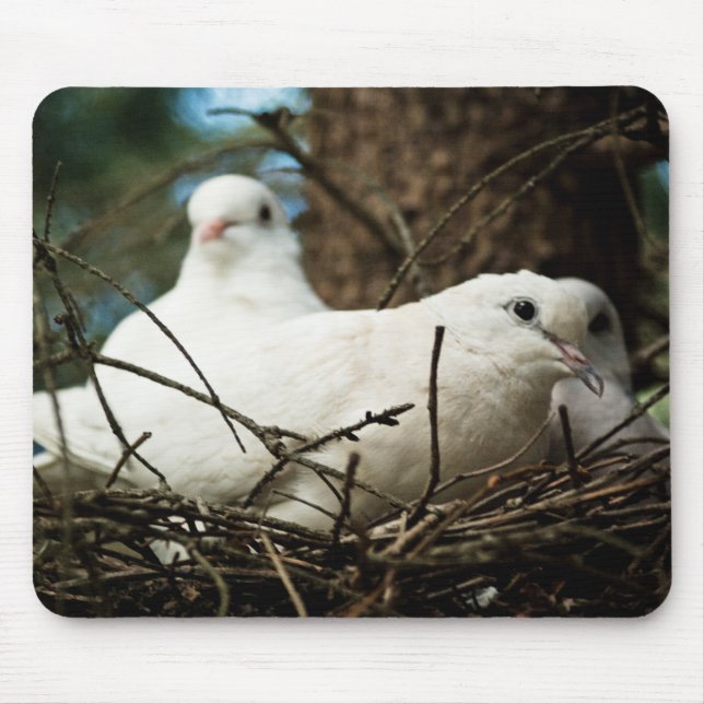 Drei in einem Baum Mousepad (Vorne)