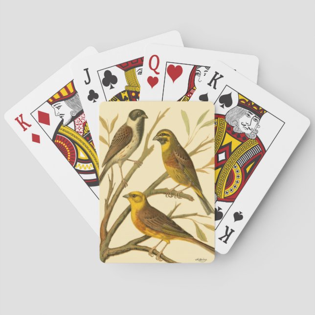 Drei inländische Vögel auf einer Zweigniederlassun Spielkarten (Rückseite)