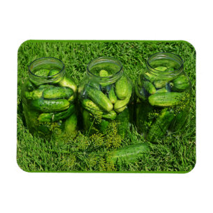Drei Jars Gurken und Dill on Grass Magnet