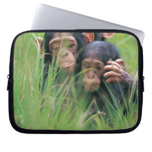 Drei junge Schimpansen (Pantroglodytes) herein Laptopschutzhülle