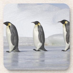 Drei Kaiser-Pinguine, Schnee-Hügel-Insel Untersetzer