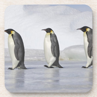 Drei Kaiser-Pinguine, Schnee-Hügel-Insel Untersetzer