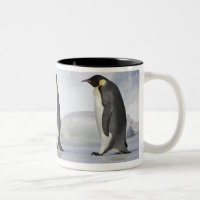 Drei Kaiser-Pinguine, Schnee-Hügel-Insel