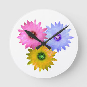 Drei Kakteenblüten Runde Wanduhr