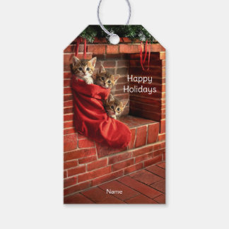 Drei Kätzchen in einem Weihnachtsstrumpf Geschenka Geschenkanhänger