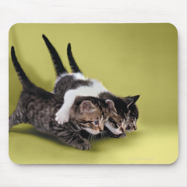 Drei Kätzchen umarmen sich Mousepad (Vorne)