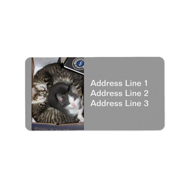 Drei kleine Kätzchen Adressaufkleber (Vorne)