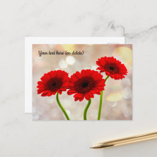 Drei kleine rote Gerbera-Postkarte Postkarte