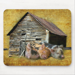 Drei kleine Schweine im rustikalen Stall schnarche Mousepad