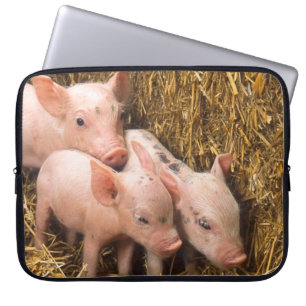 Drei kleine Schweine Laptopschutzhülle