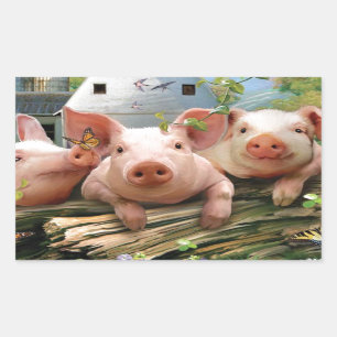 Drei kleine Schweine Rechteckiger Aufkleber