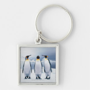 Drei König Pinguine Schlüsselanhänger