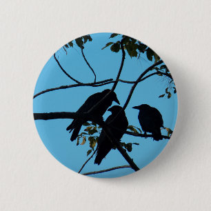 Drei Krähen in einem Baum Button
