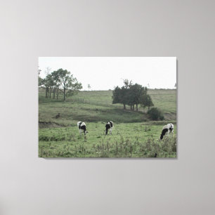 Drei Kühe auf einem Feld Fotografie Wandkunst Leinwanddruck