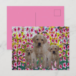 Drei Labrador Welpen Öl gestrichen, Feiertagspostkarte