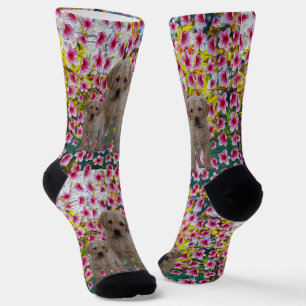 Drei Labrador Welpen Ölfarbe, Crew Socken