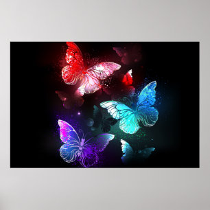 Drei leuchtende Schmetterlinge auf nächtlichem Hin Poster