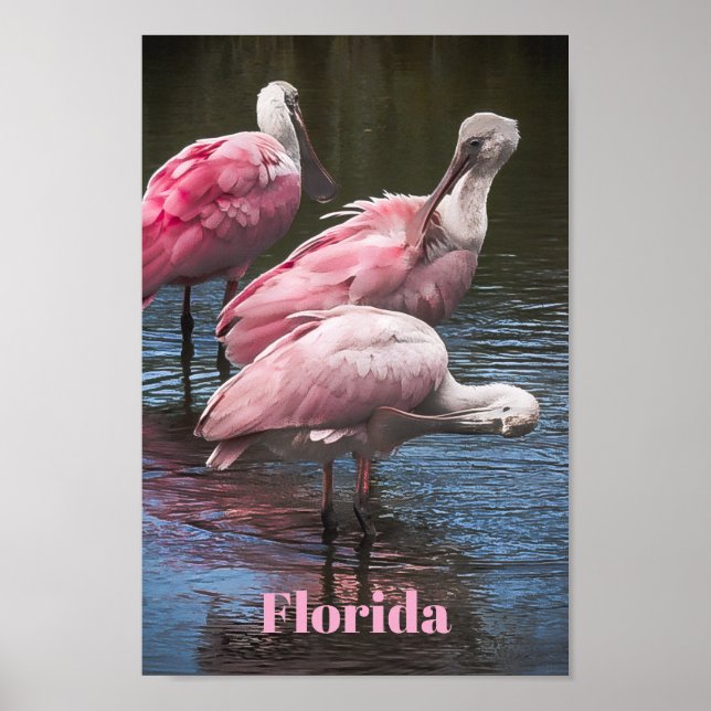 "Drei Löffler"  Poster (Vorne)
