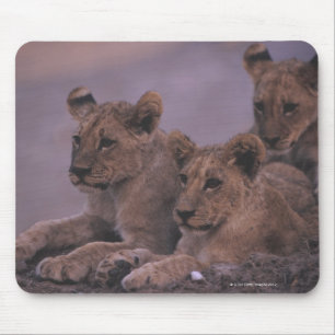 Drei Löwe CUB Mousepad
