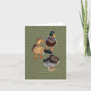 Drei lustige wilde Enten Faltkarte Karte