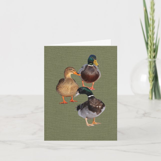 Drei lustige wilde Enten Faltkarte Karte (Vorderseite)