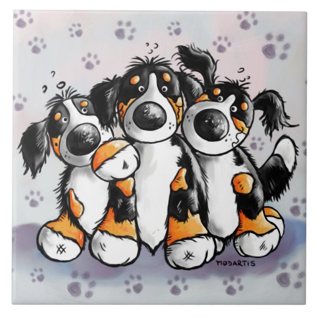 Drei lustiger Bernese GebirgshundeCartoon Fliese (Vorderseite)