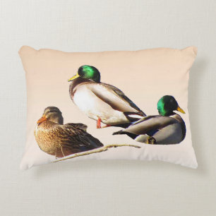 Drei Mallard Ducks Accent Pillow Zierkissen