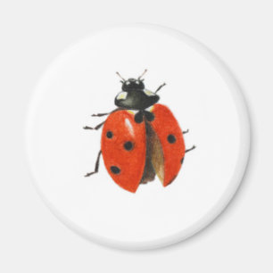 Drei Marienkäfer 2013 Magnet
