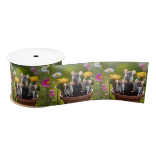 drei Mäuse in Blume Pots, Satinband