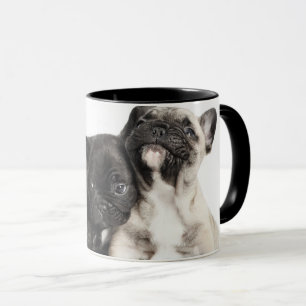Drei Mops Welpen Tasse