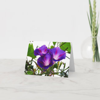 Drei Morgenglorien Karte