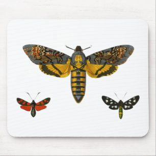 Drei-Moth-Wings-Illustration Mousepad