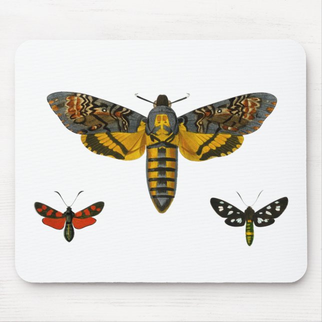 Drei-Moth-Wings-Illustration Mousepad (Vorne)