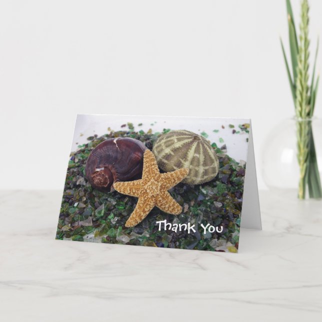 drei Muscheln, danke (Vorderseite)