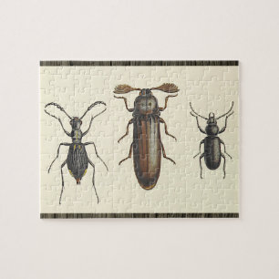 Drei nebeneinander angeordnete Insekten-Puzzle