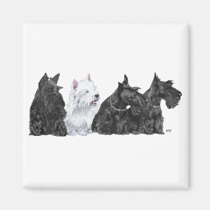 Drei neugierige Scotties und ein Westie Magnet