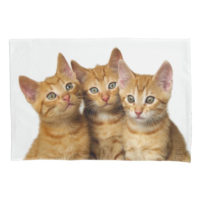 Drei Niedliche Ginger Cat Kittens Friends Head Fot Kissenbezug (Vorderseite)