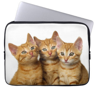 Drei Niedliche Ginger Cat Kittens Friends Head Fot Laptopschutzhülle