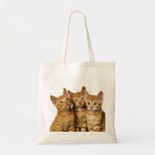 Drei Niedliche Ginger Cat Kittens Friends Head Fot Tragetasche