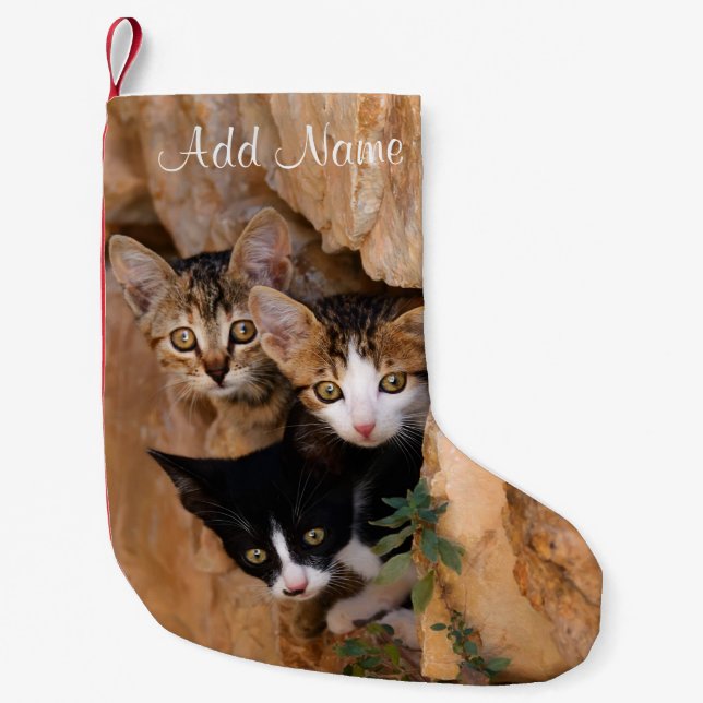 Drei Niedliche Neugierige Katzen Kätzchen Faces Fu Kleiner Weihnachtsstrumpf (Vorderseite)