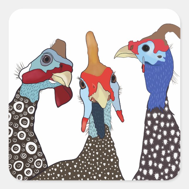 Drei Niedliche Vögel Gemusterter Guinea Quadratischer Aufkleber (Vorderseite)