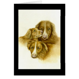 Drei Nova Scotia Duck Tolle Retrievers-Karte